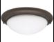Regency ESAW Light Kit ORB